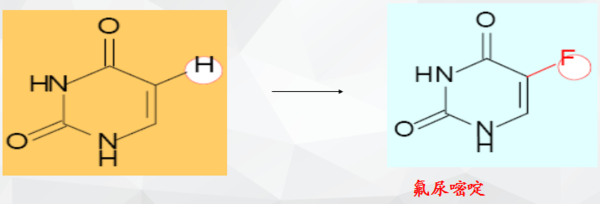 内衣少女（粤语版）