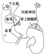 全职杀手（粤语版）