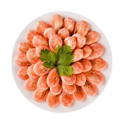 关于我和鬼变成家人的那件事