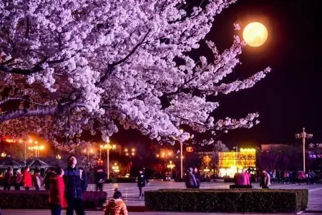 克莉丝堤：杀人网站