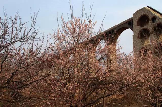 再战江湖 （粤语）