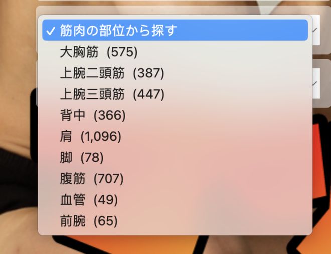 光荣之路上的狗