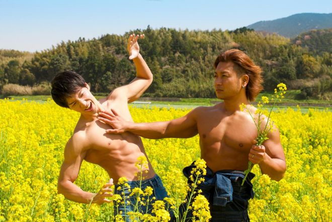 光荣之路上的狗