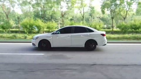 关于查理的真相