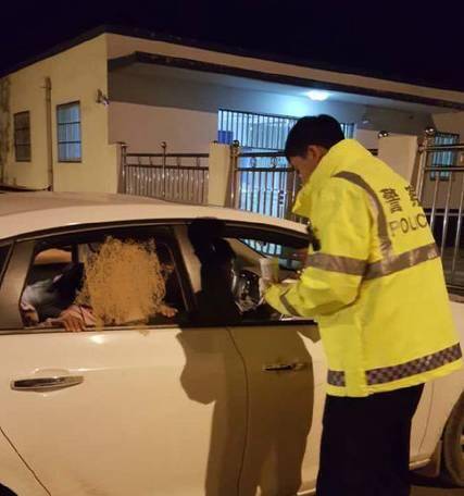 全息游戏：恋爱世界