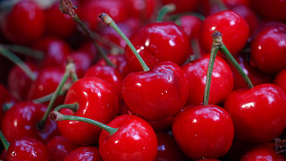 再见我们的十年