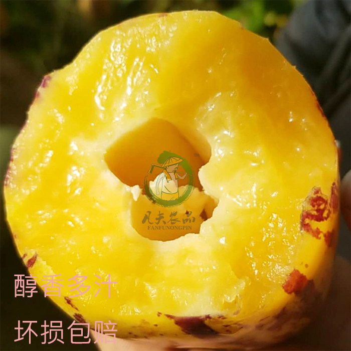 八卦风云之河图