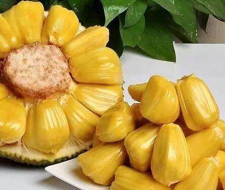 名侦探柯南计时引爆摩天楼(普通话版）