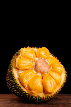 克莱拉与熊的秘密