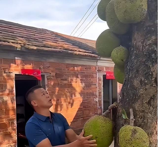 内蒙人民的胜利